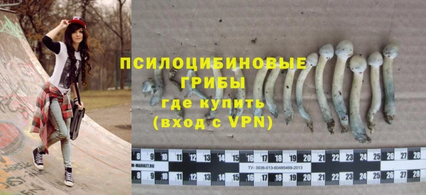 Альфа ПВП Армянск