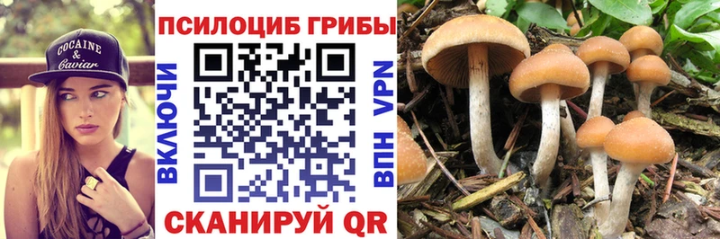 Галлюциногенные грибы мицелий  hydra   Ковров 