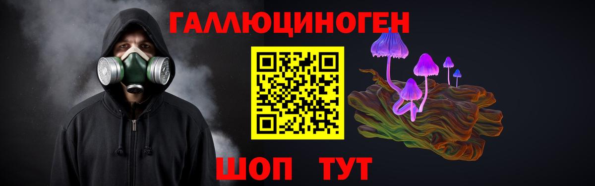 Ковров  Псилоцибиновые грибы Psilocybine cubensis  Вход с VPN 